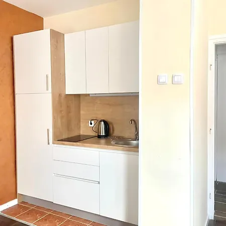 Apartment Comfortable 1bdr In Center - Free Parking