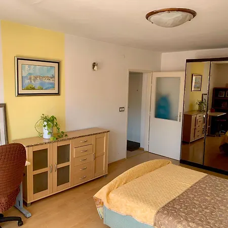 Comfortable 1bdr In Center - Free Parking Apartment Sarajevo