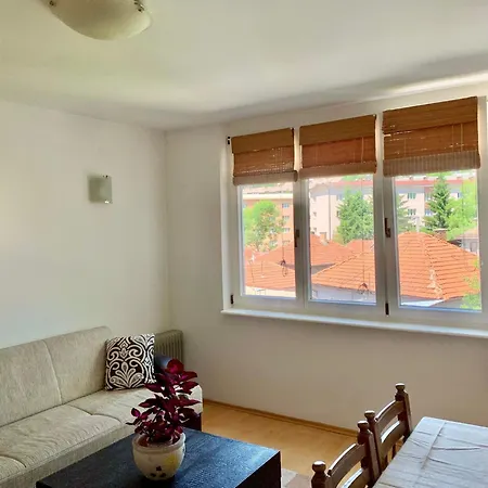 Apartment Comfortable 1bdr In Center - Free Parking Sarajevo