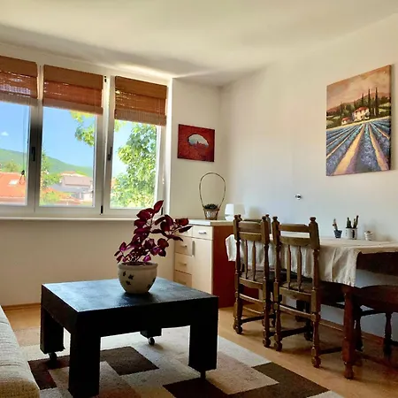 Comfortable 1bdr In Center - Free Parking * Sarajevo