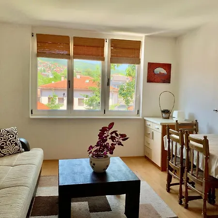 Comfortable 1bdr In Center - Free Parking Sarajevo