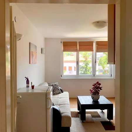 Apartment Comfortable 1bdr In Center - Free Parking *