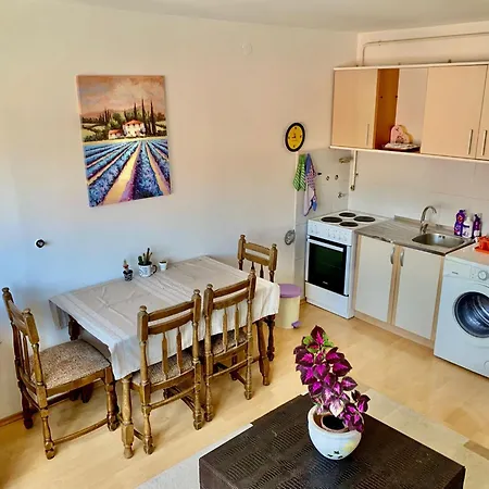 Comfortable 1bdr In Center - Free Parking Apartment